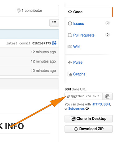 screenshot with clone url pointed to